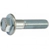 Flange Screws