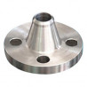Weld Neck Flanges