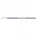 Periodontal File E5_D1163402_1