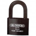 High Security Padlock--LS42-50_D1140868_1