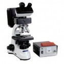 Fluorescence Biological Microscope - Inclined At 45 Degree Angle - Interpupillary Distance 55-75mm