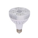 Spot Light - 35 W – LED, 85 Lumen/ Watt – 275 V – PAR30_D1774660_1