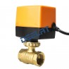 Motorized Ball Valve_D1151153_2