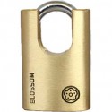Unique Shape Shackle Half Protected Brass Padlock--BC96-60_D1140851_1