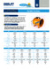 Download PDF